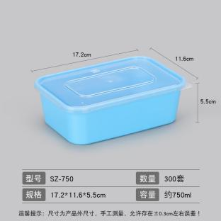 New style Japanese Bento Containers