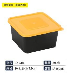Premium Japanese Bento Containers
